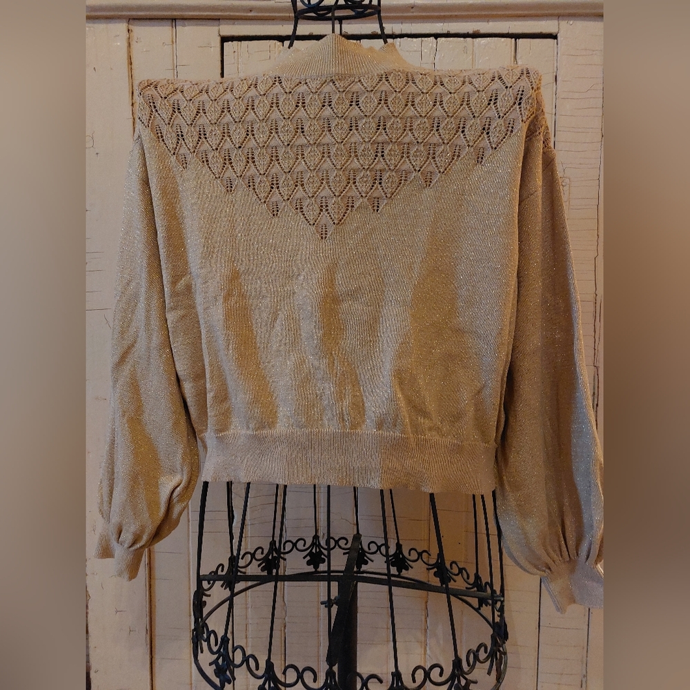 Cream-gold metallic crop ladies sweater